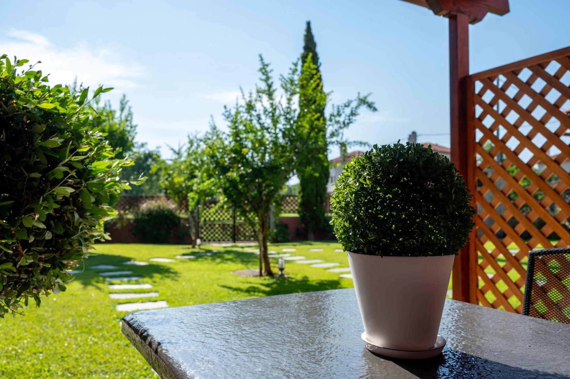 Melograno Apartments And Studios Kalá Nerá Eksteriør bilde